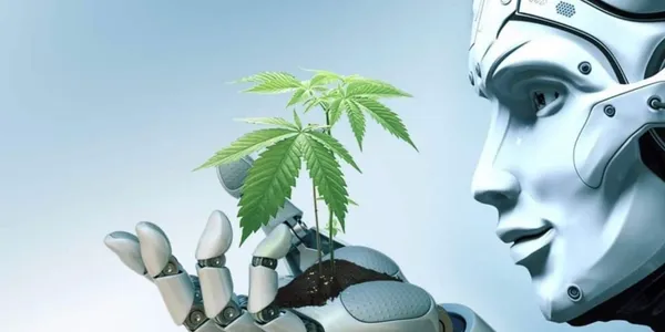 3 Ways AI Will Change the Cannabis Industry