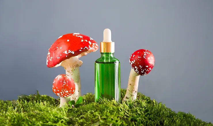 Amanita Muscaria: Effects, Dosage, How To Take It