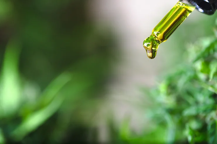 Everything You Need To Know About CBD Oil
