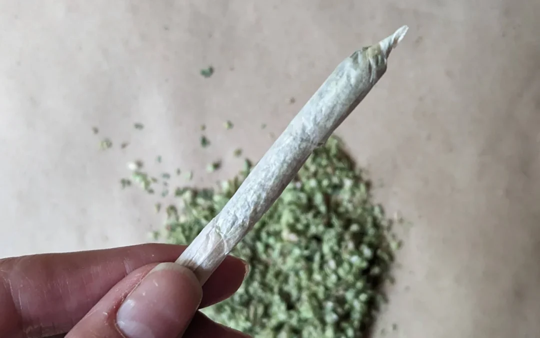 The Importance of a Properly Rolled Stick: Ensuring Consistency in the Cannabis Experience