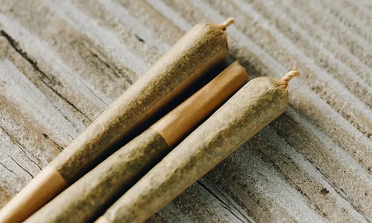 Delving Deeper: The Ins and Outs of Pre-Rolled Blunts