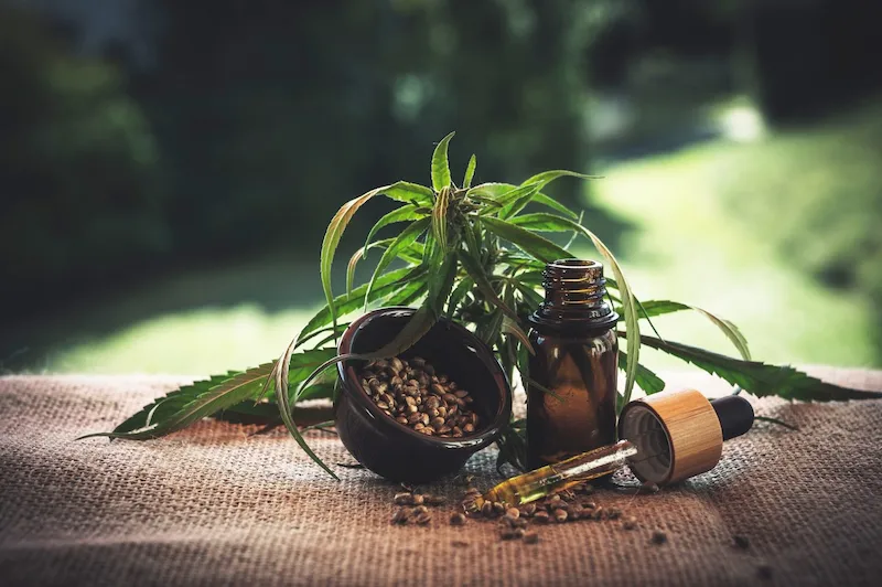 5 Quirky CBD Oil Products You Must Try At Least Once