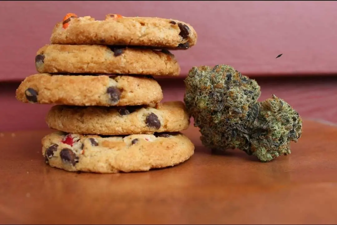 The Science Behind THC Munchies