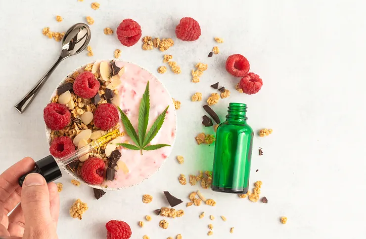 Tincture VS Edible – A Definitive Comparison To See Which Is Better