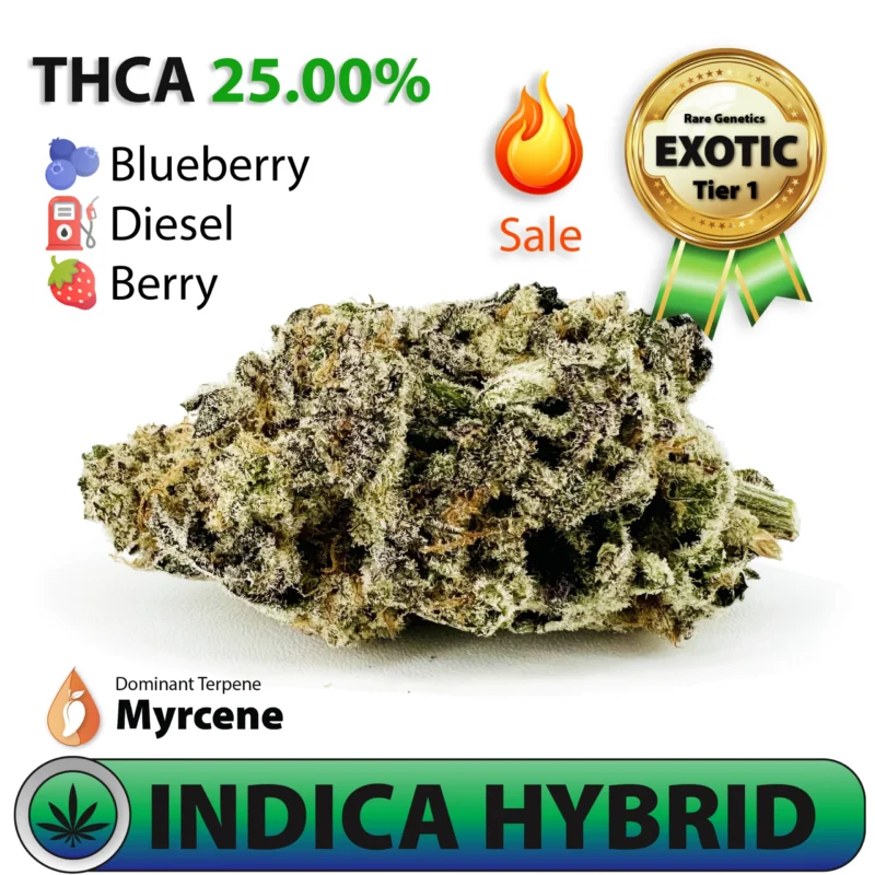 Blue City Diesel Strain - Exotic Indica Dominant Hybrid THCA Flower - Frosted Brands